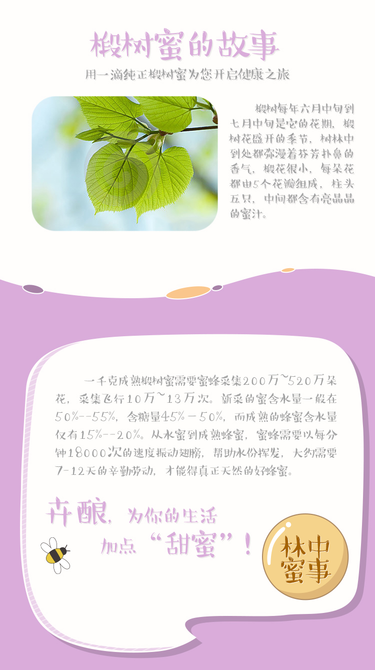 蓝莓3.jpg