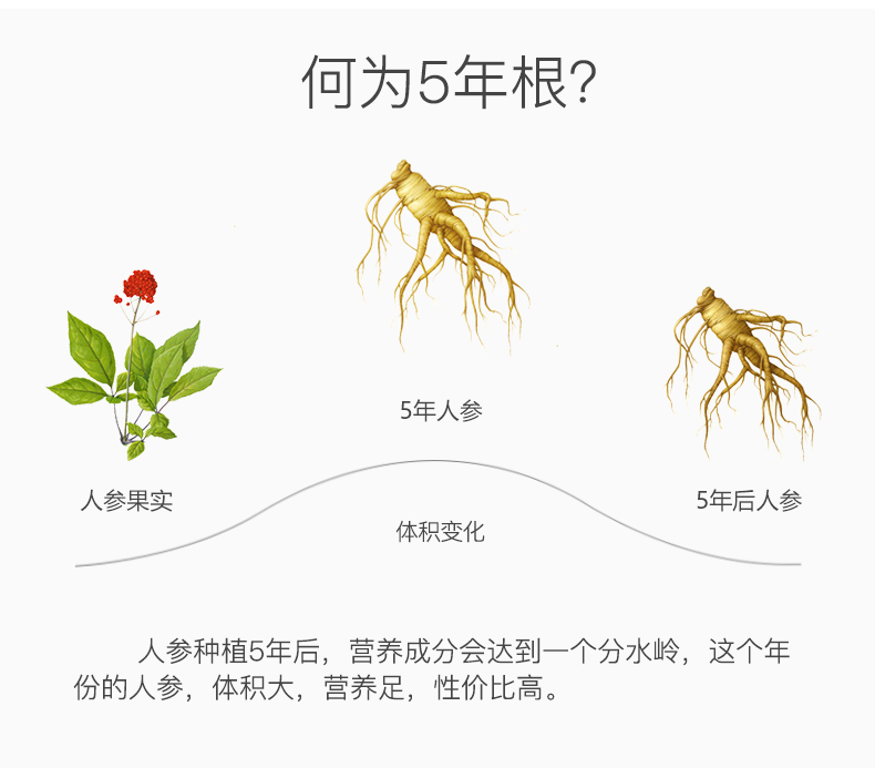 鲜11.jpg