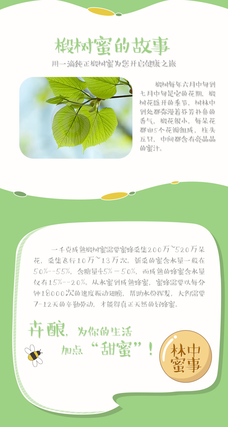 椴树蜜4.jpg