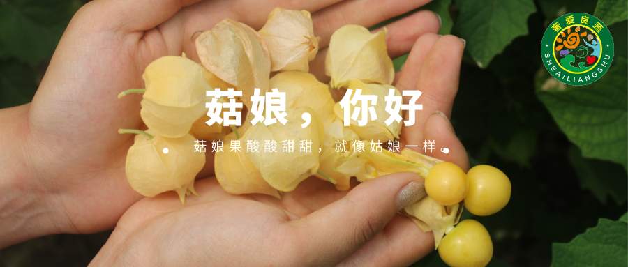 默认标题_公众号封面首图_2019.09.14.png