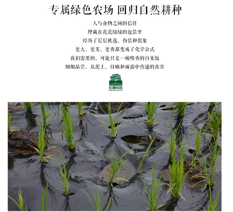 品14.jpg