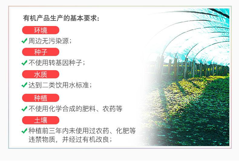 鲜3.jpg