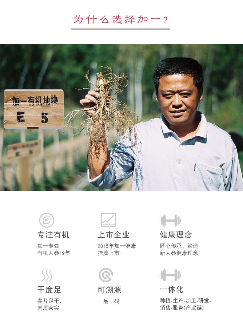 红参6.jpg