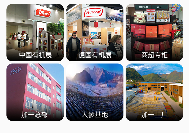 鲜10.jpg