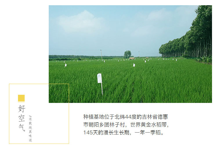 开犁商品04.jpg