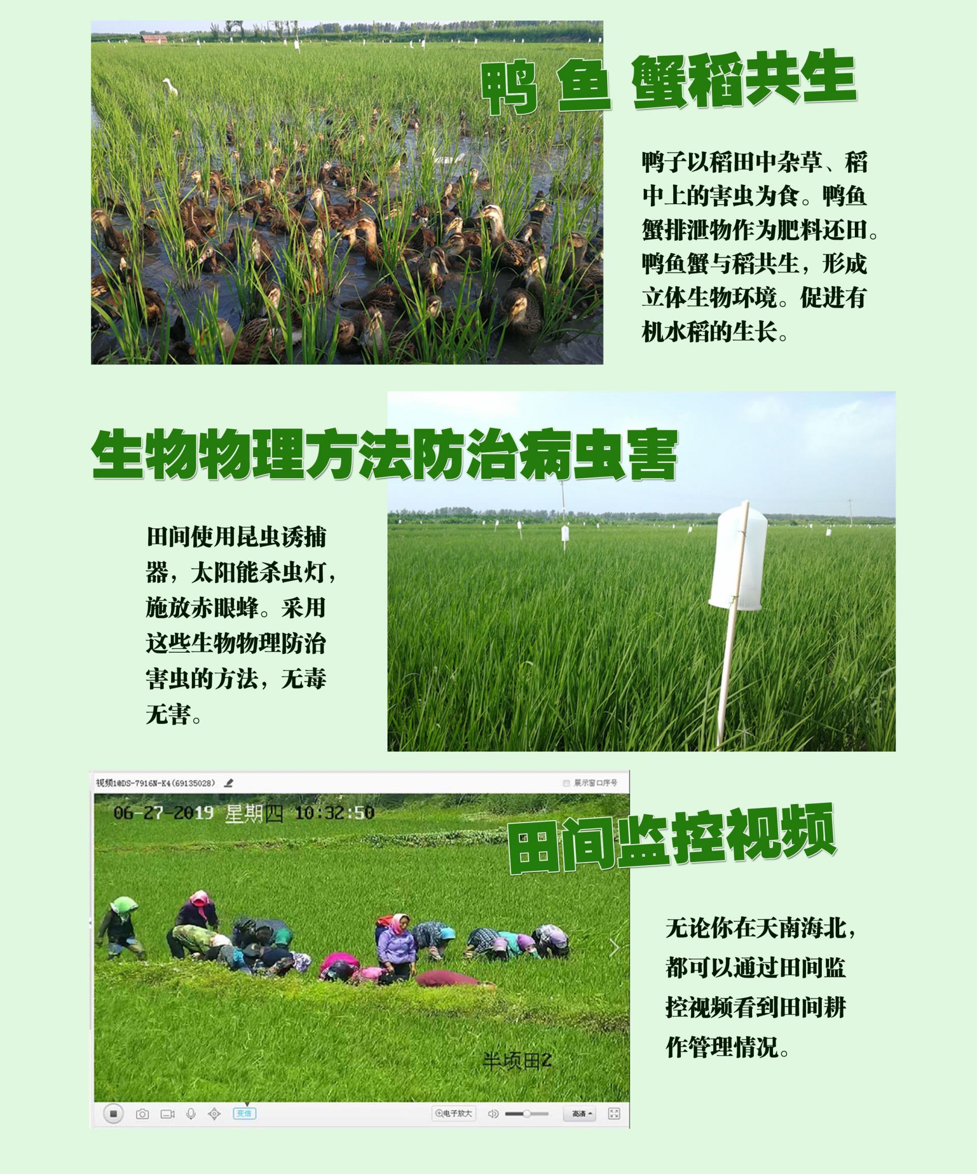 田间管理_副本.jpg